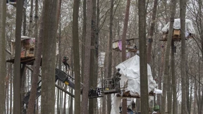 Besetzer von Baumhäusern müssen zahlen