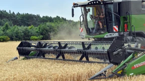 Bauern erwarten größere Ernte als im vergangenen Jahr
