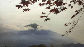 Erinnerung und Vergänglichkeit