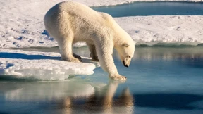 Kommt, wir putzen die Arktis!