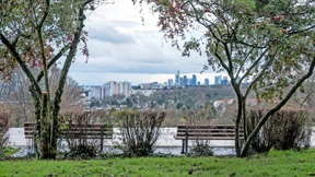 Die Älteren verlassen Frankfurt