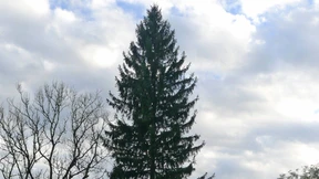 Deutschlands Schönster heißt August