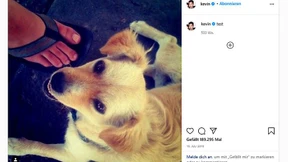 Wer hat die meisten Likes?