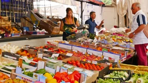 Veganes Zwangsleben mit Verbotessa Marie Antoinette Hofreiter