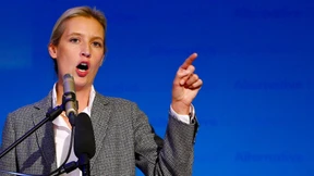 Bundestagsverwaltung untersucht dubiose Spenden an die AfD