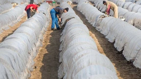 Feilschen um den Mindestlohn