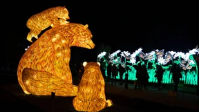 Garten der bedrohten Arten