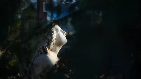 Ausflüge in die Gärten der Erinnerung