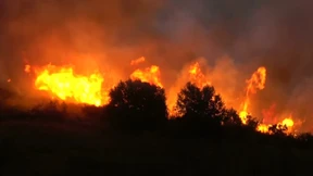 Waldbrände wüten in Griechenland