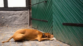 „Haushaltsnah“ heißt haushaltsnah