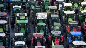 Aus für die Bullerbü-Landwirtschaft