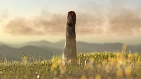 Phallisch im Erdaltertum