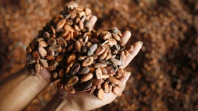 Warum Schokolade so aromatisch schmeckt