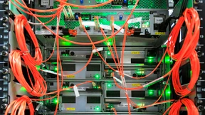 Schleppnetz und Harpune 