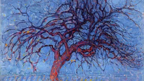 Harmonie und Spannung