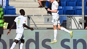 Beier muss auf den Zaun