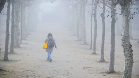 Zu warmes Jahr geht mit Schmuddelwetter zu Ende
