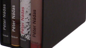 Was uns die Sonnenstrahlen im Zimmer erzählen