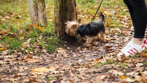 Du hier? Quarantäne im Elternhaus