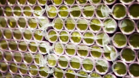 Wenn das Bargeld doppelt so viel kostet wie sein Wert