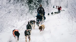 Mit etwas Glück kommt ein Schneesturm