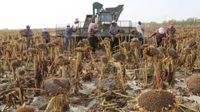 So versucht China, Wissenschaftler zum Schweigen zu bringen