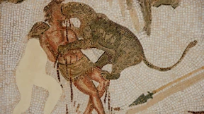 Tod nach Löwenbiss in einer Arena in Britannien