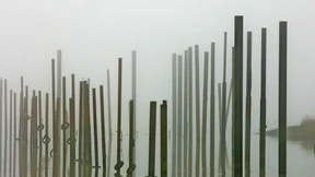 In Ruhe ziehen lassen