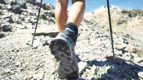 Wo geht es zum Gipfel des guten Geschmacks?