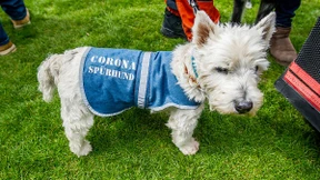 Querdenker? Extremisten beobachten!