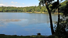 Mann fotografiert heimlich Kinder an Badesee