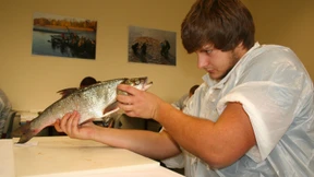 Arbeiten an Teich und Becken