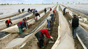 Kindergeld für EU-Ausländer kostet Milliarden