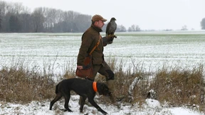 Manche Jäger haben einen Vogel