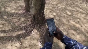 Heuschrecken jagen per App