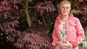 Zwei Herren mit Ähnlichkeiten