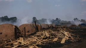 Gier frisst den Wald