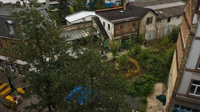 Grünen-Vorstand für Enteignungen als letztes Mittel