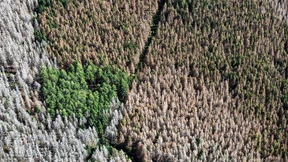 Dürr, dürrer, am dürrsten