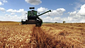 Hessens Bauern fürchten um ihre Ernte