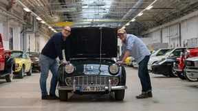 Ahnengalerie mit Bulli und Admiral