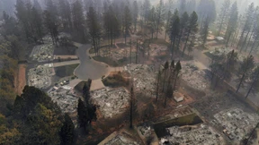 Das verlorene Paradies