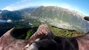 Die Vogelperspektive auf den Klimawandel