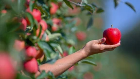 Kerle, macht’s wie die Frauen