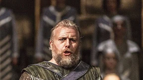 Der Schwan ist mehr als nur eine Projektion