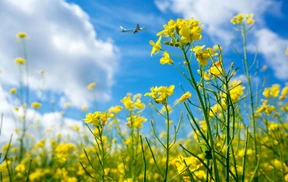 Start in eine nachhaltigere Luftfahrt
