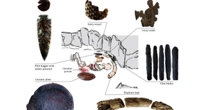 Vermeintlich männlicher Anführer war eine Frau