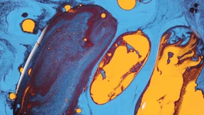 Warum Konservative für den Rechtspopulismus ungeeignet sind