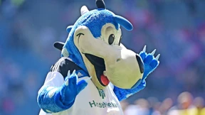 Der HSV schon wieder