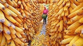 Die Energiewende für unsere Ernährung